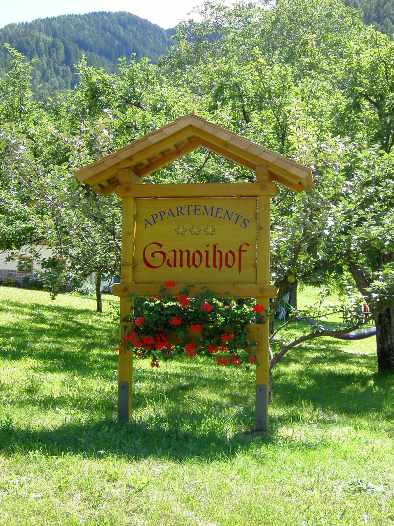 Ganoihof Apartments Funes  Extérieur photo
